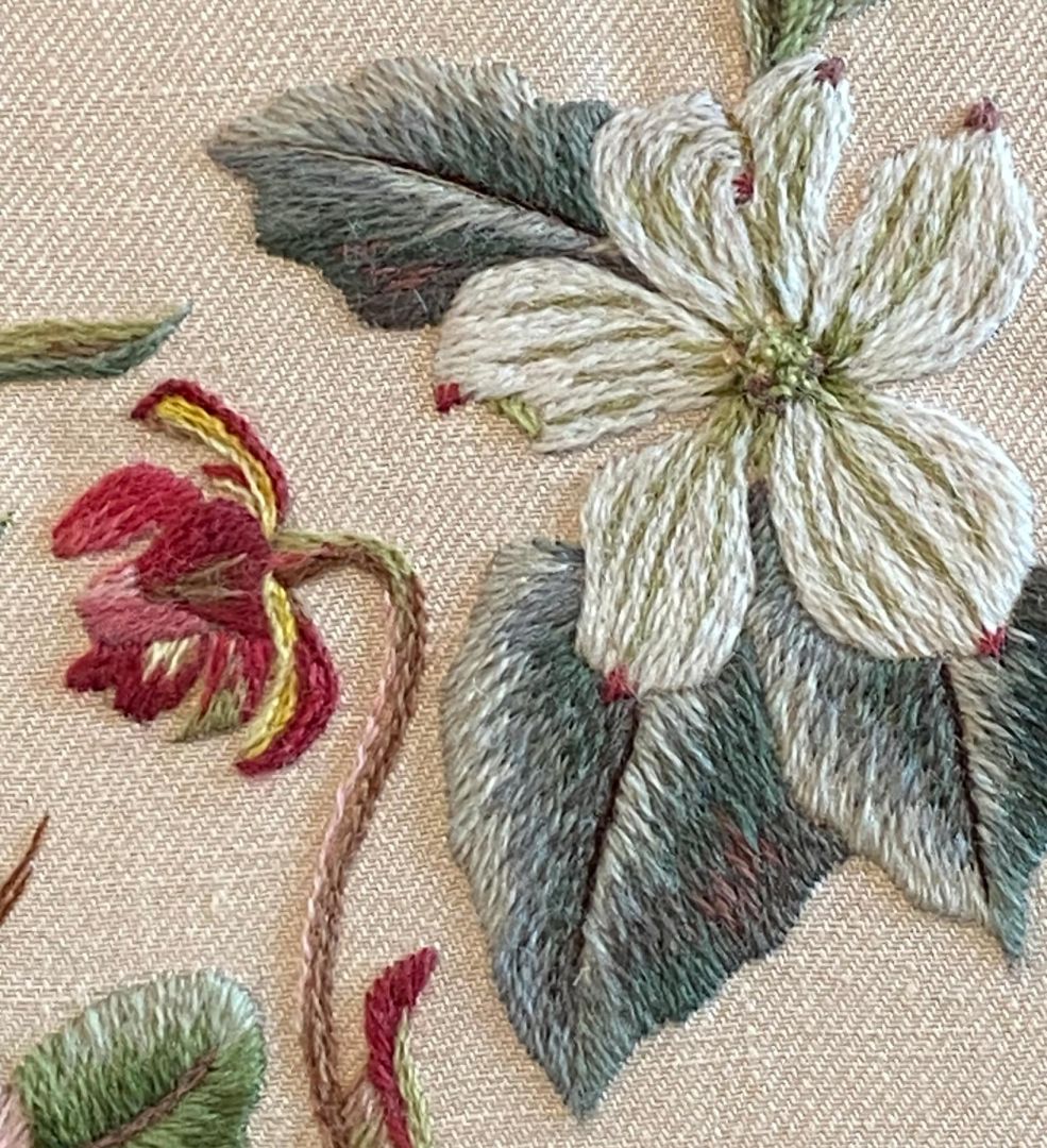 Advanced Crewel and Surface Embroidery
