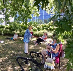 photo of a group of women in lawn chairs under a shady tree