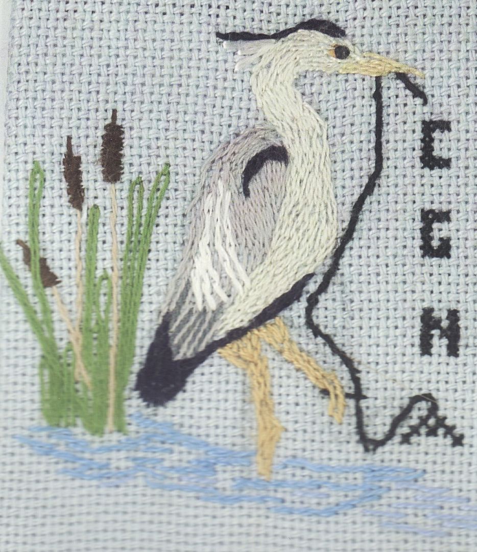 Photo of an emberoidered heron in cattail reeds