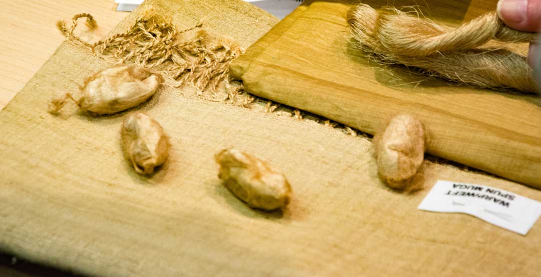 Silk cocoons, threads and fabric.