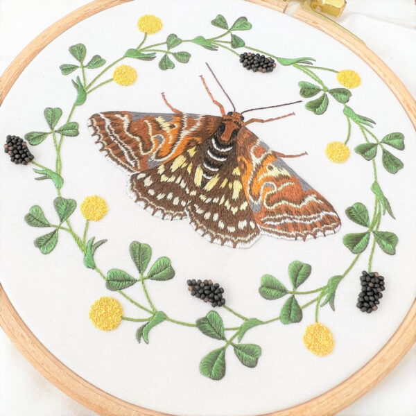 Coming Soon: Mother Shipton & Black Medick - Image 2