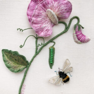 Coming Soon: Sweet Pea