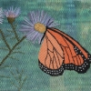 Monarch & Asters closeup (2)
