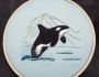 Sneak Peek: The Orcas are Coming!