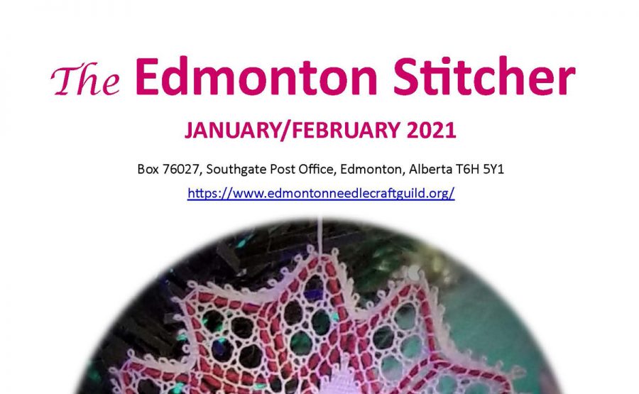 The Edmonton Stitcher: 2021 01-02